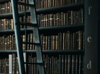library shelf near black wooden ladder