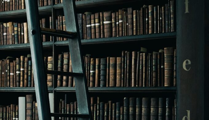 library shelf near black wooden ladder