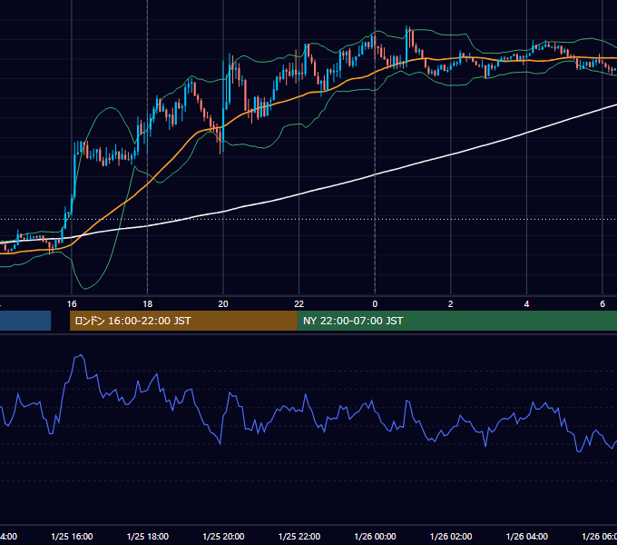 2013年1月25日（金） EUR/USD 5分足チャート