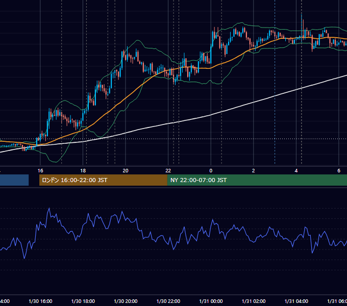 2013年1月30日（水） EUR/USD 5分足チャート