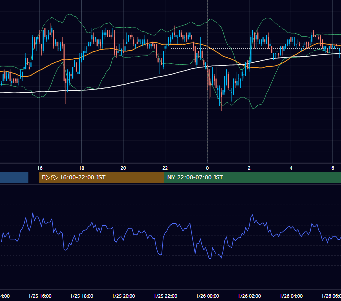 2010年1月25日（月） USD/JPY 5分足チャート