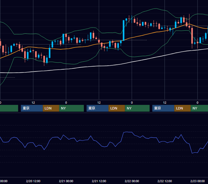 2002年2月18日〜2月22日 USD/JPY 1時間足チャート