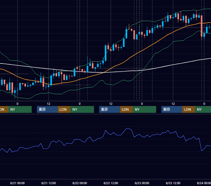 2013年8月19日〜8月23日 USD/JPY 1時間足チャート