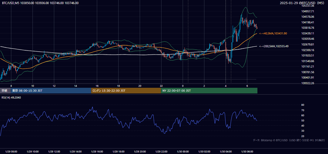 2025年1月29日(水) BTC/USD 5分足チャート