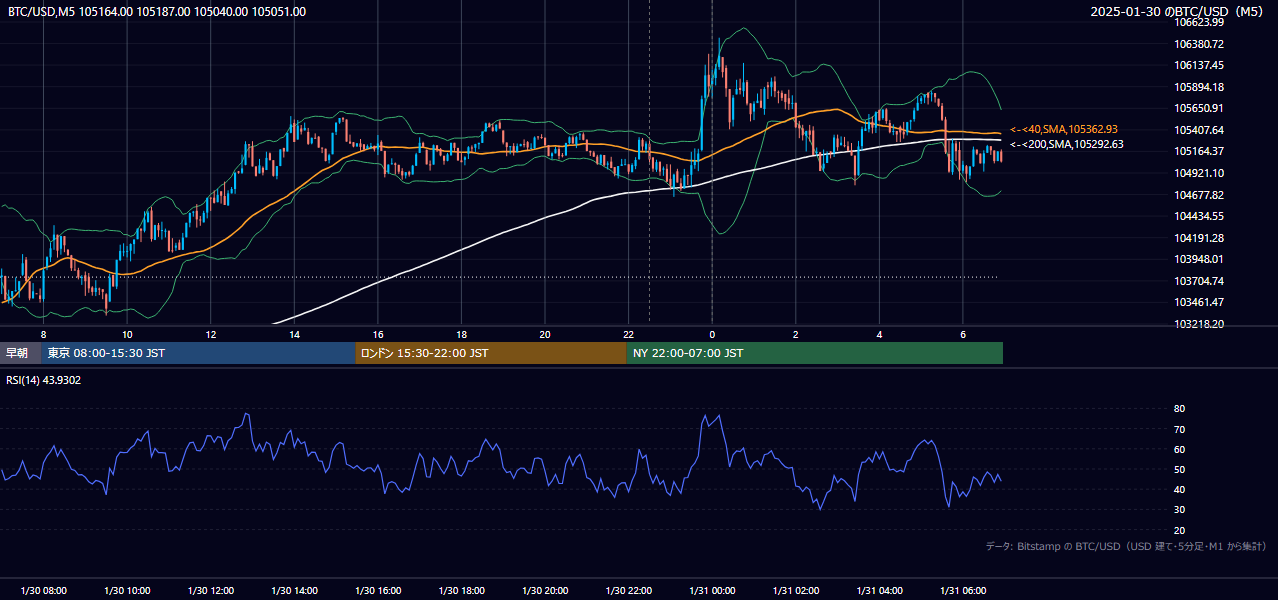 2025年1月30日（木） BTC/USD 5分足チャート