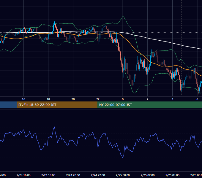 2025年2月24日(月) BTC/USD 5分足チャート