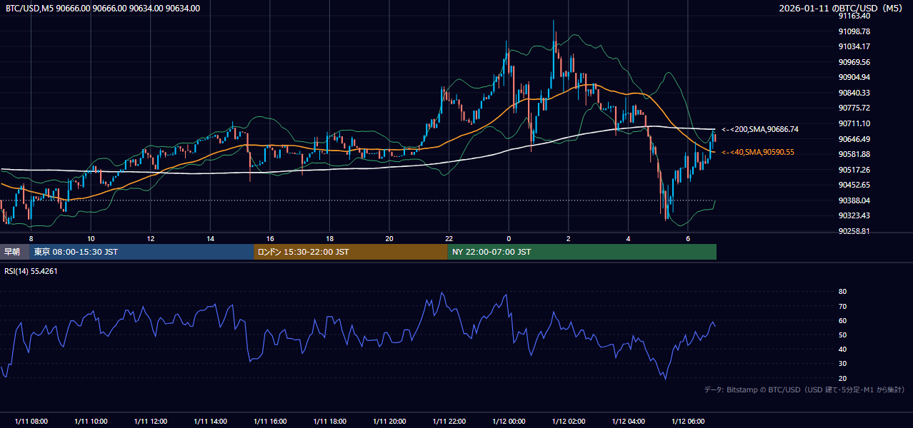 2026年1月11日（日） BTC/USD 5分足チャート