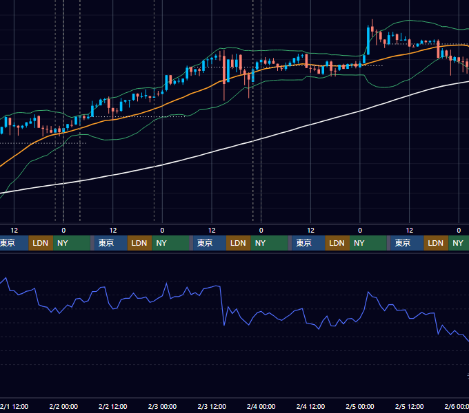 2017年1月30日（月）〜2月5日（日） BTC/USD 1時間足チャート