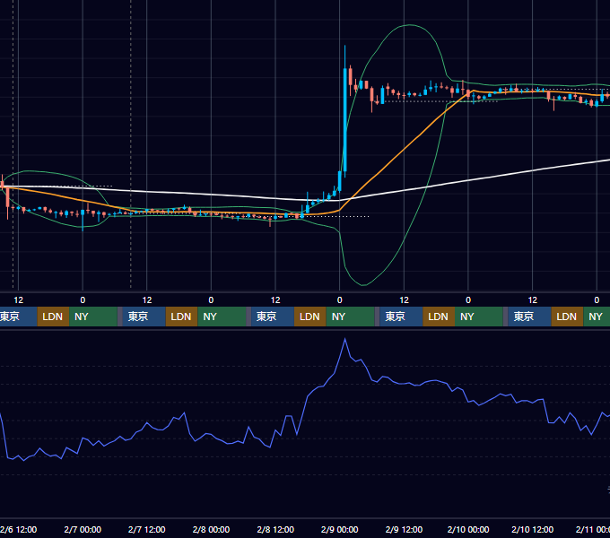 2019年2月4日（月）〜2月10日（日） BTC/USD 1時間足チャート