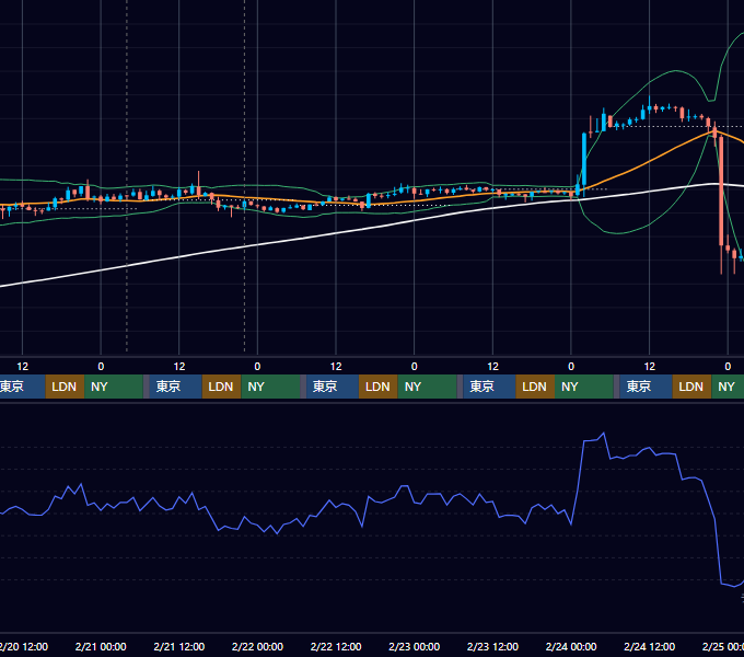 2019年2月18日（月）〜2月24日（日） BTC/USD 1時間足チャート