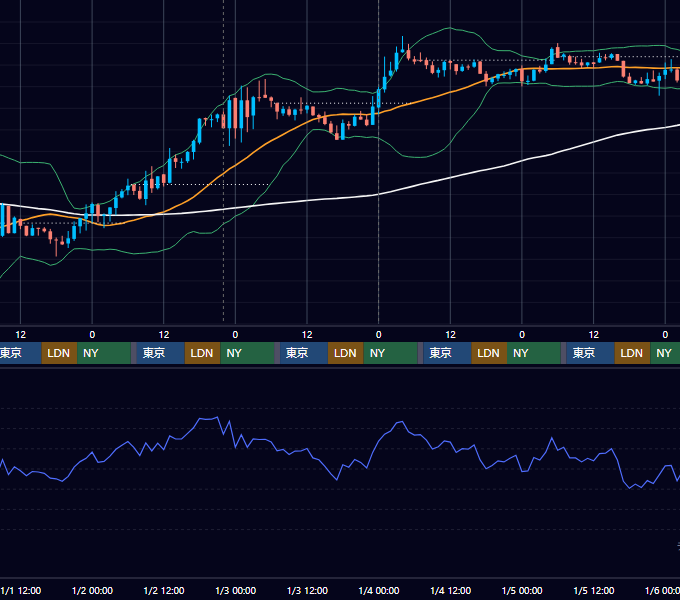 2024年12月30日（月）〜1月5日（日） BTC/USD 1時間足チャート