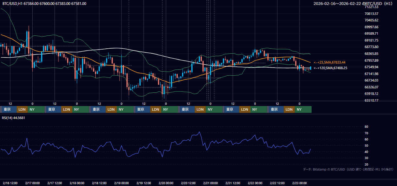 2026年2月16日(月)〜2月22日(日) BTC/USD 1時間足チャート