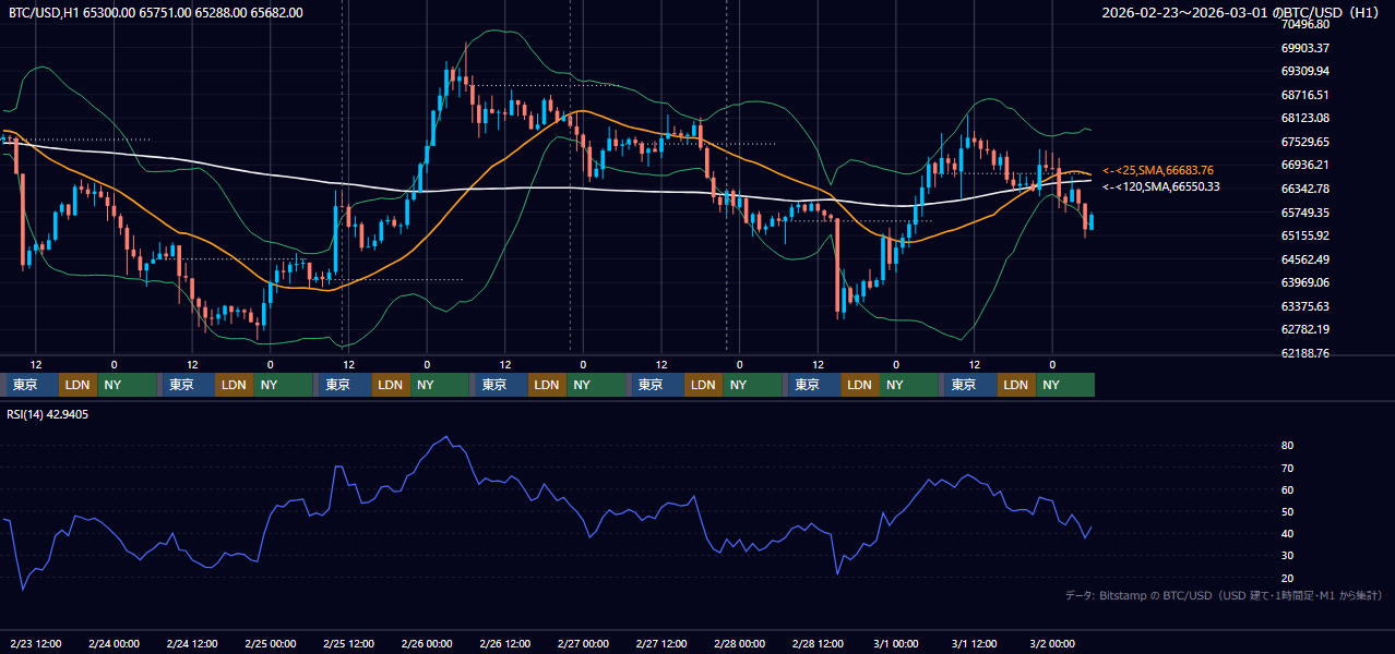 2026年2月23日（月）〜3月1日（日） BTC/USD 1時間足チャート