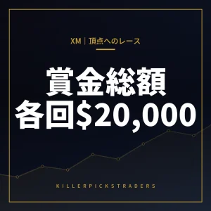 XM 頂点へのレース アイキャッチ